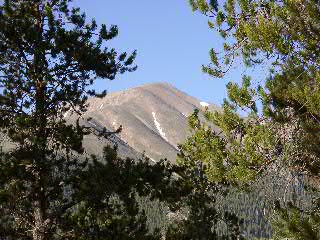 Mount Elbert from the Mount Massive Trail