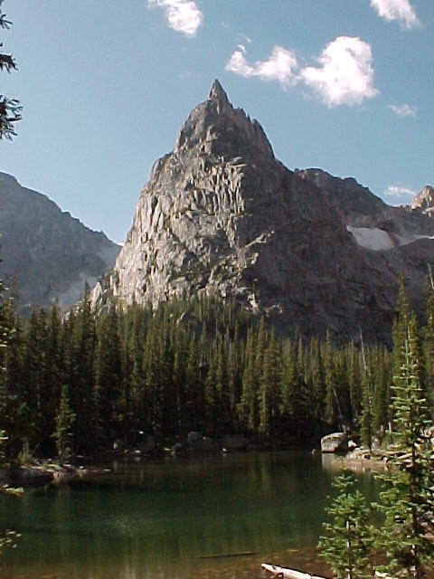 Lone Eagle from Mirror Lake