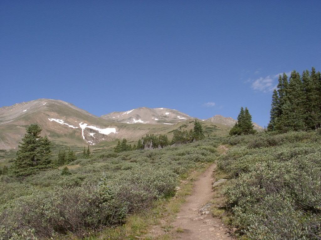 Mt. Massive from just above treeline