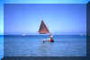 sardegna8.jpg (18480 byte)