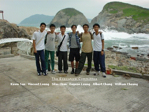 The Executive Committee