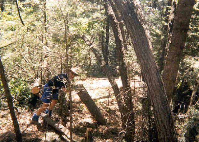 Trail Work