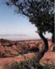 Black Mesa
