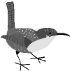 Limmerskin.gif (3121 bytes)