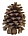 Pinecone.gif (1542 bytes)