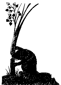 beaverandtree.gif (2621 bytes)