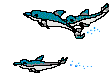 dolphin2.gif (17455 bytes)