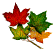 leaf1.gif (2354 bytes)