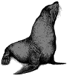 seacatch.gif (6497 bytes)