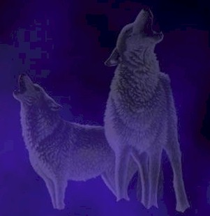 wolfwowl.jpg (16578 bytes)