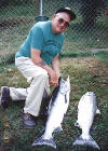 Limit Fall Chinook