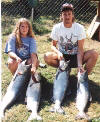 Tara/Charles limit Fall Chinook