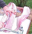 Cut filet away