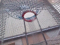 Mid View