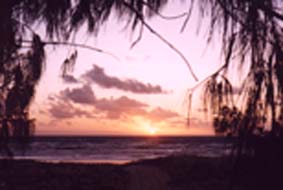 Fraser at Sunrise