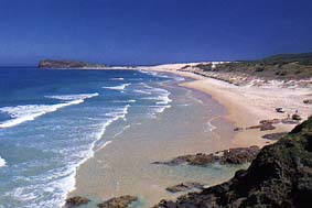 Fraser Island