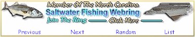 White Banner