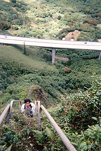 chaiku09.JPG