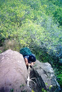 olo05.jpg