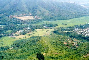 olo06.jpg