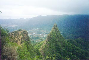 olo07.jpg
