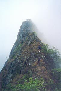 olo11.jpg