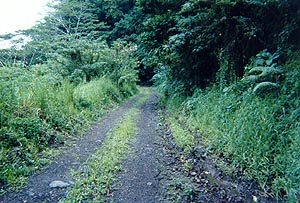 samoa02.jpg