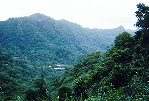 samoa03.jpg