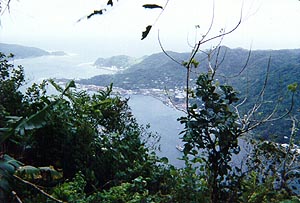 samoa05.jpg