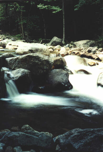 Ausable<BR>River