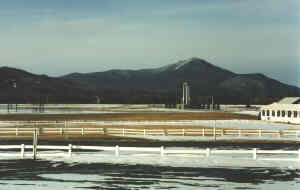 Whiteface Mtn.