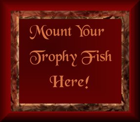 Trophy Fish Here