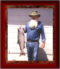 Trophy Salmon