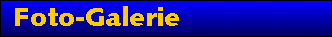 Galerie