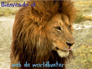 To Hunt for to Conserve - To Conserve for to Hunt
                   Cazar para Conservar - Conservar para Cazar