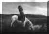 Red Hawk - Oglala