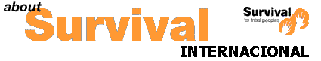Survival internacional