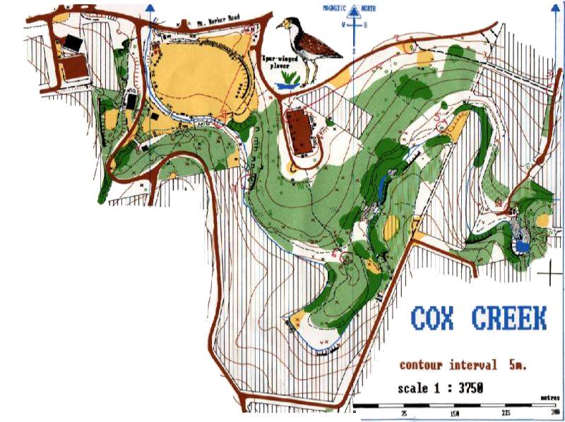 Orienteering map of Cox Creek