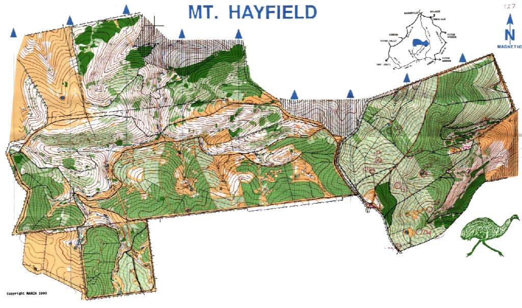 Orienteering map of Mt Hayfield