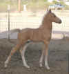 Photo taken 5/3/2002