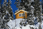 refugio.gif (6368 bytes)