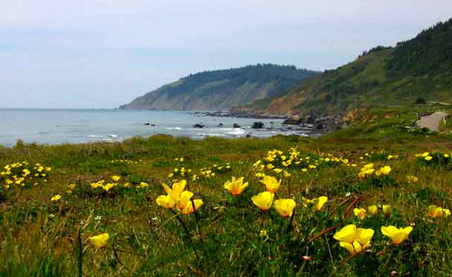 coast