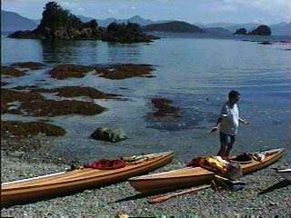 new kayaks on beach