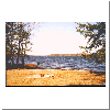 beach.gif