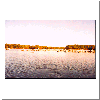 wake.gif