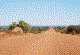 [Photo: Outback Landscape 1]