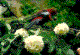 [Photo]