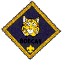 images/csbobcat.gif (2692 bytes)