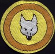 Cub Scouts Gold Proficiency Badge