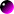 Purple Dot